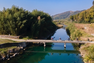 サイクリング風景堤防