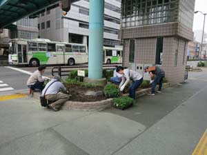 花植えの様子の写真1