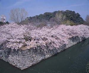 徳島中央公園