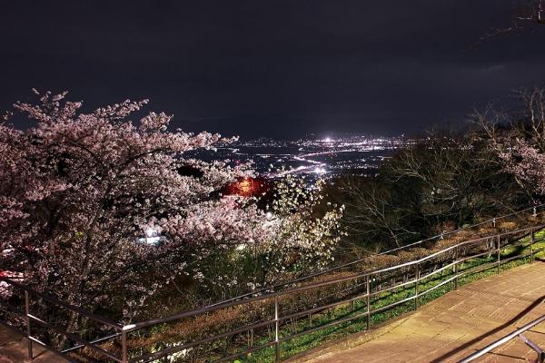 35番デジカメ部門